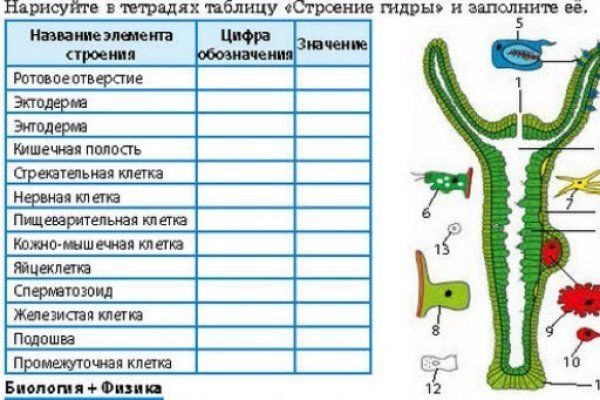 Кракен даркнет маркет vtor run