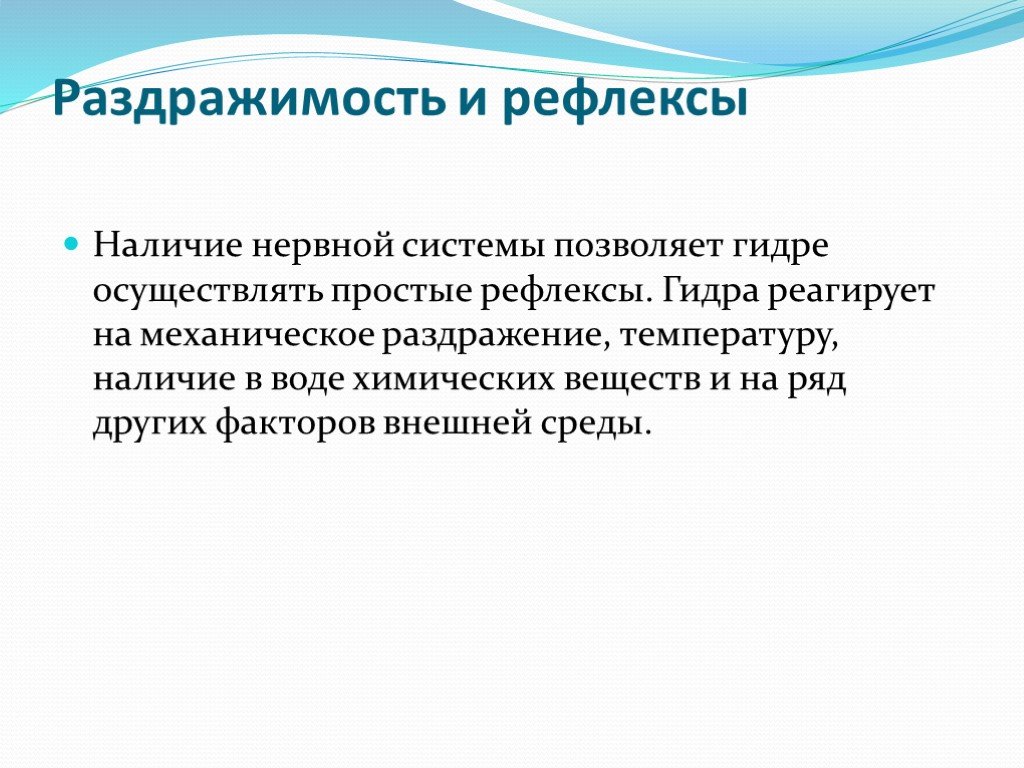 Через какой браузер зайти на кракен